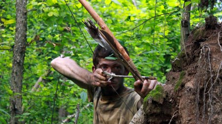 Fjäderns historia